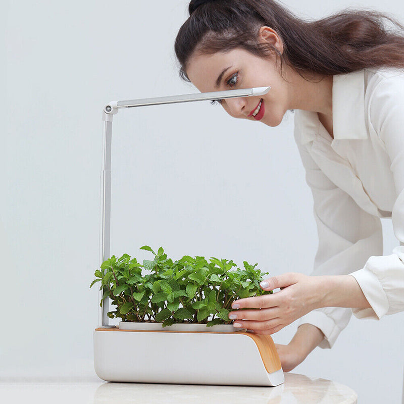 Small Hydroponics Indoor Garden Kit 50% OFF SALE NOW! – Hydro Gardens