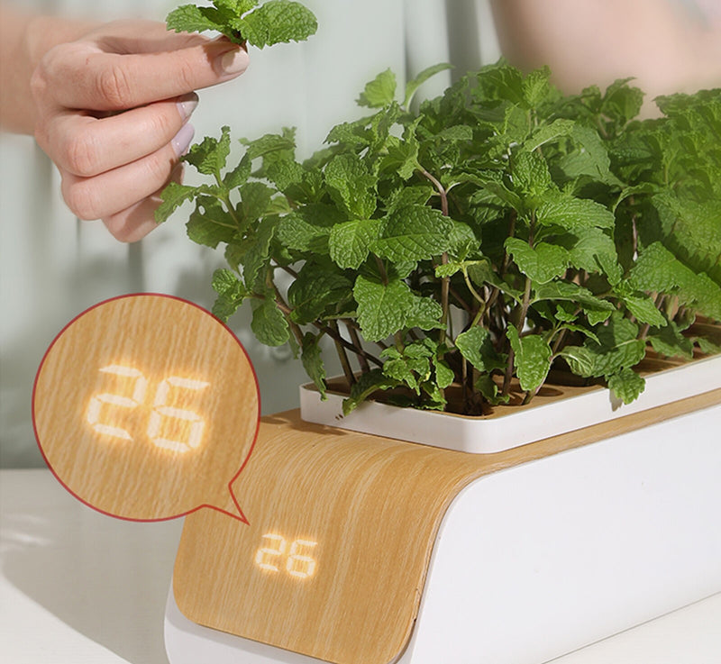 Small Hydroponics Indoor Garden Kit 50% OFF SALE NOW! – Hydro Gardens